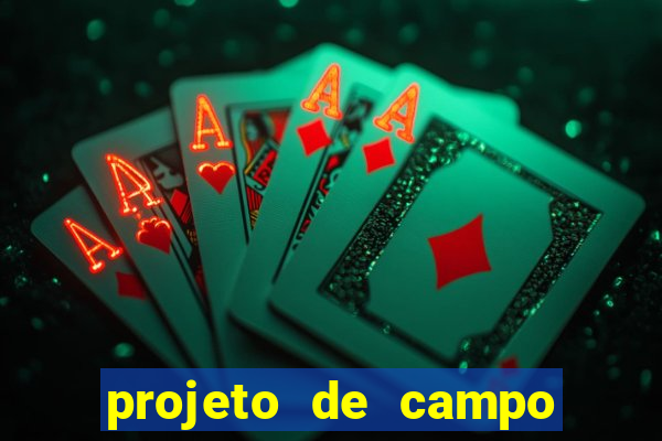 projeto de campo de futebol em cad